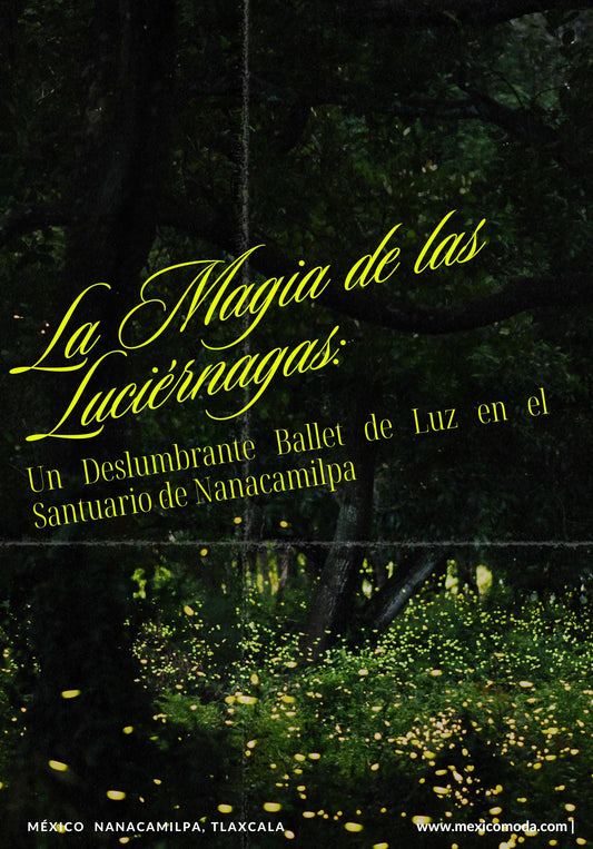 La Magia de las Luciérnagas: Un Deslumbrante Ballet de Luz en el Santuario de Nanacamilpa
