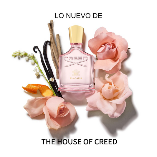 Lo nuevo de The House of Creed