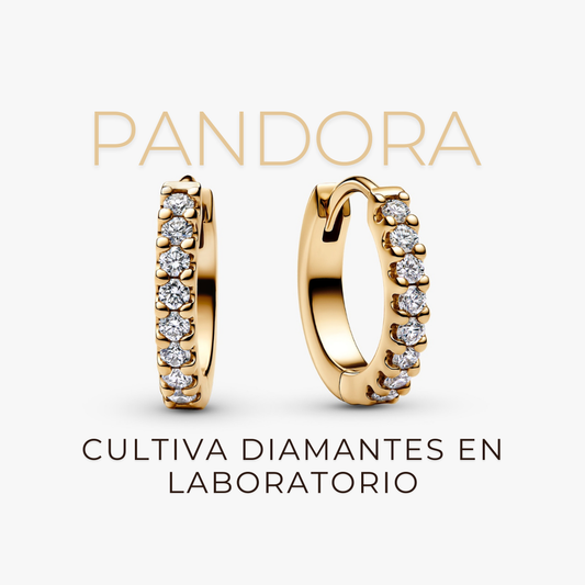 Pandora cultiva diamantes en laboratorio