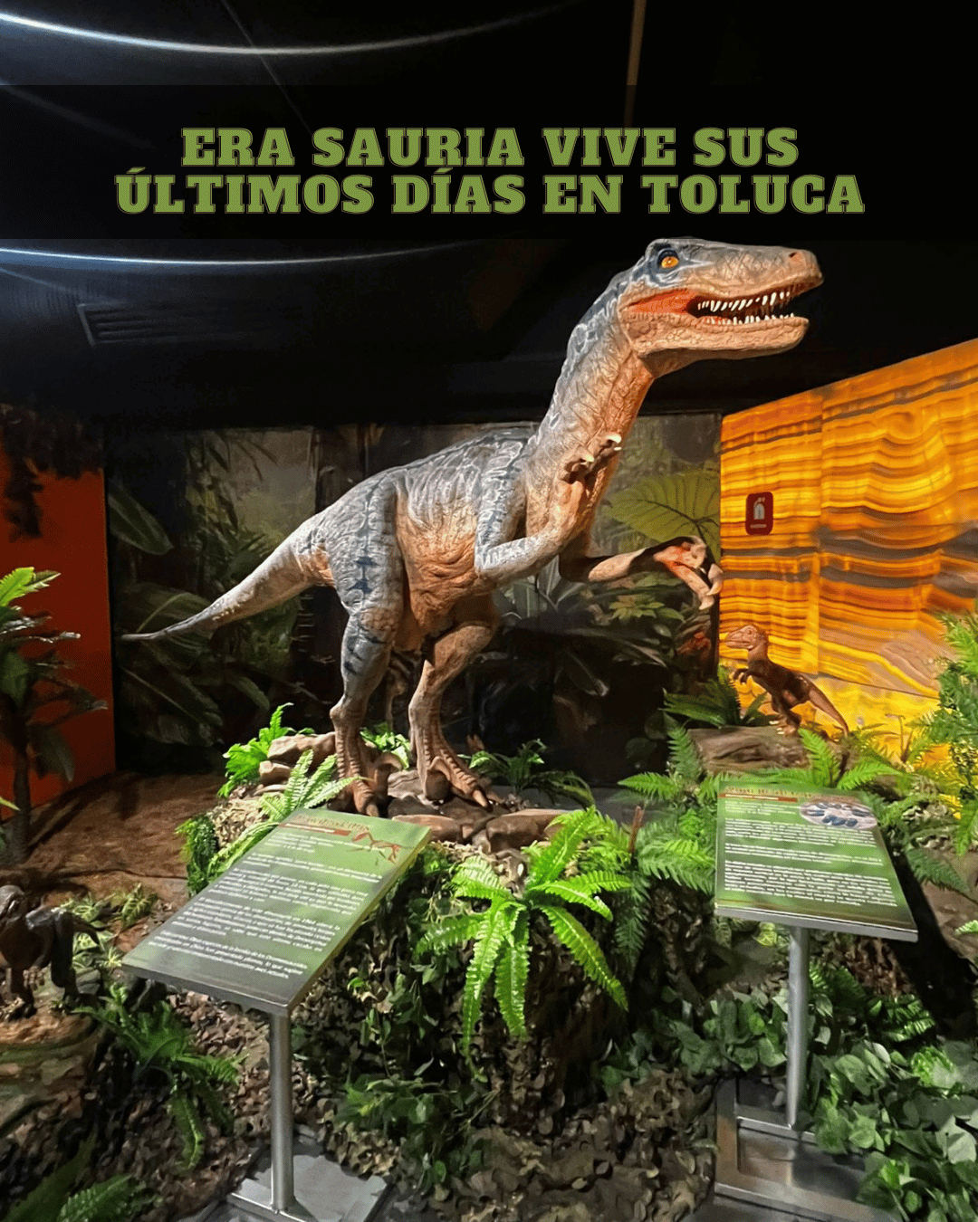 Era Sauria vive sus últimos días en Toluca